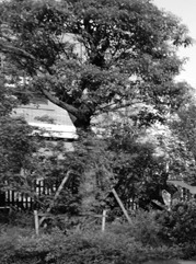 凌河注册公司